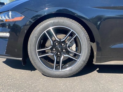 2023 Ford Mustang Base