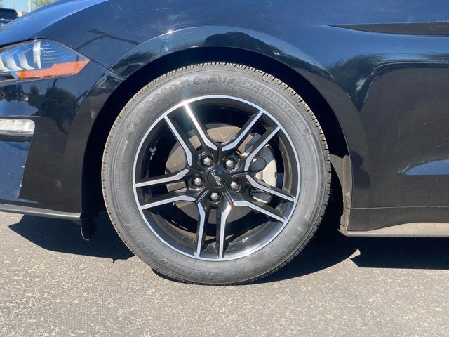 2023 Ford Mustang Base