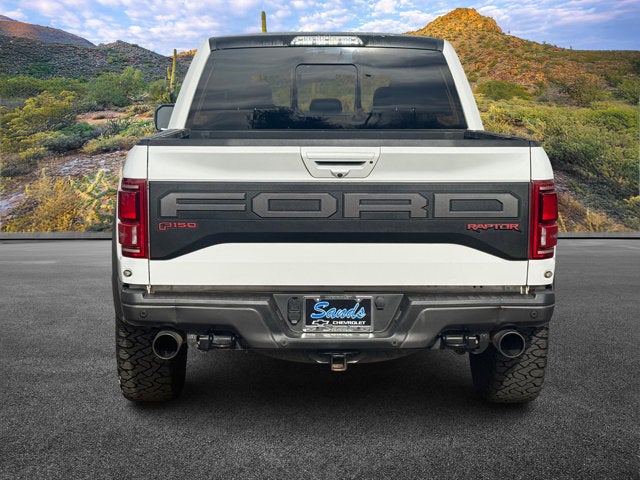 2019 Ford F-150 Raptor