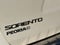 2019 Kia Sorento SX V6